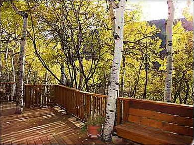 Beautiful Large Aspen Home